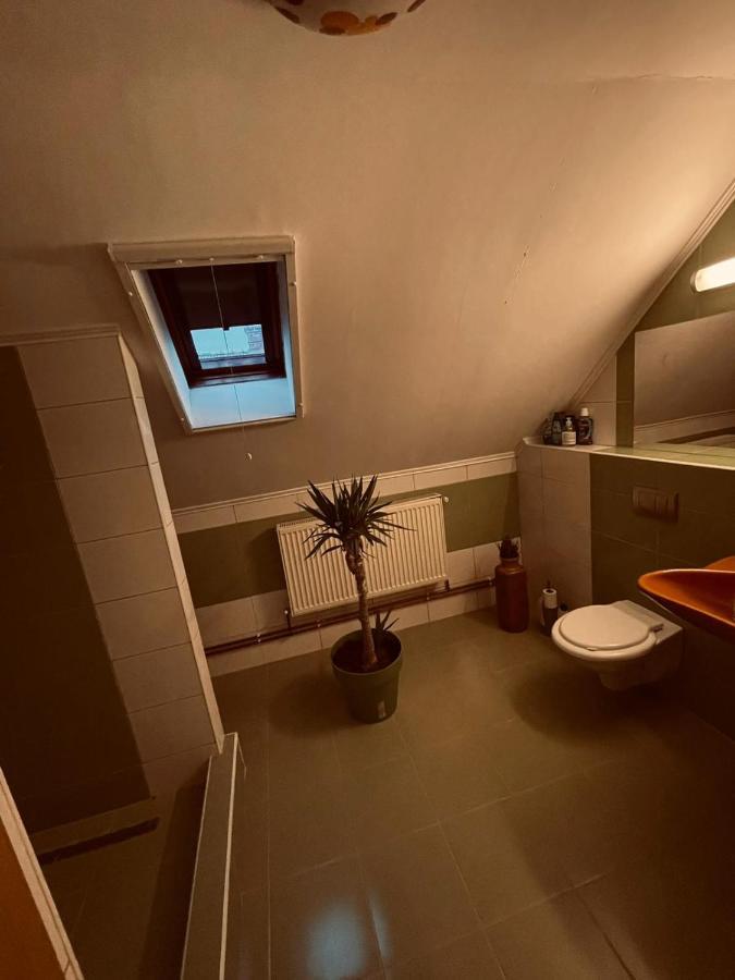 Casa Verde Foeni Екстер'єр фото
